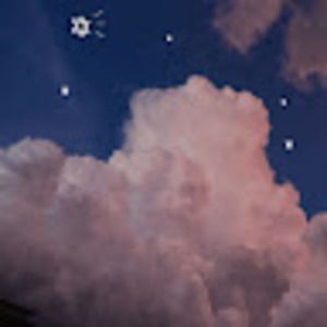 Meet your Posher, Biannca